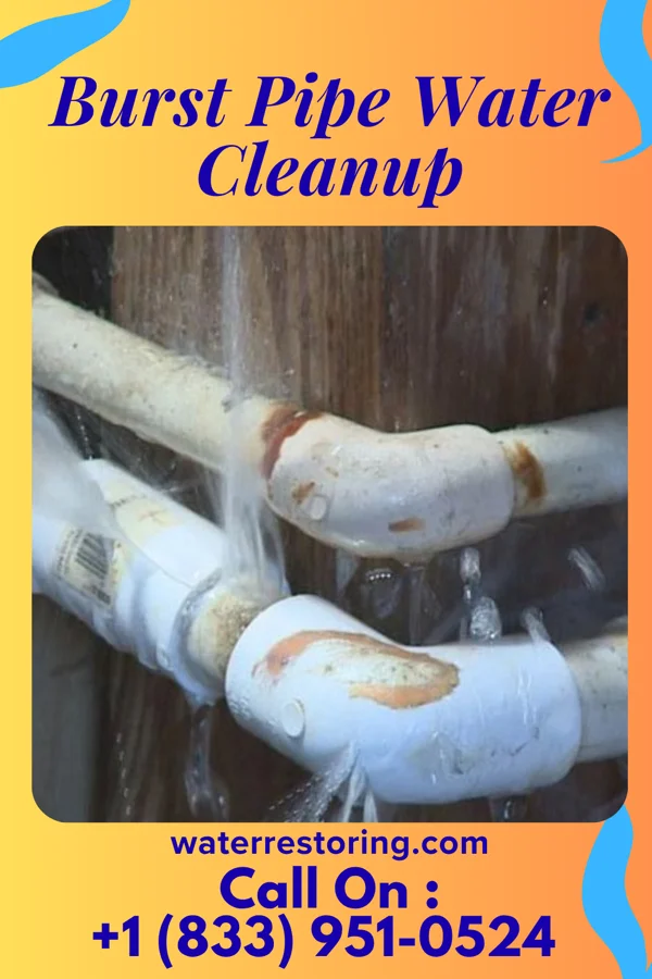 Burst Pipe Water Cleanup in Gravity, IA