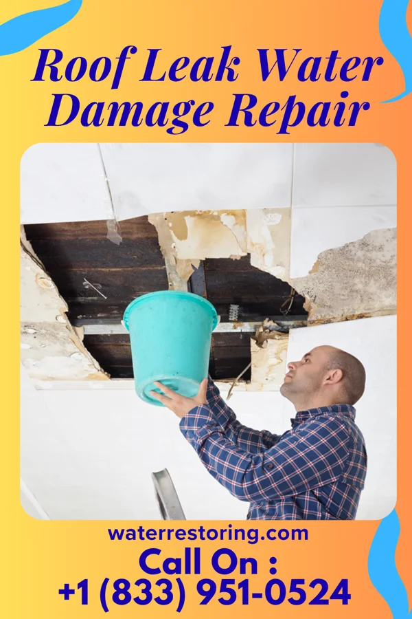 Roof Leak Water Damage Repair in Gravity, IA